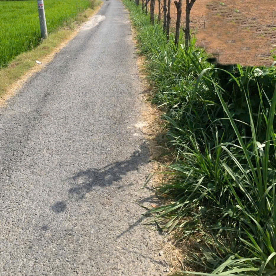 b.á.n 1 công đất đường nhựa, Tăng Hòa, Gò Công Đông, Tiền Giang giá 1 tỷ