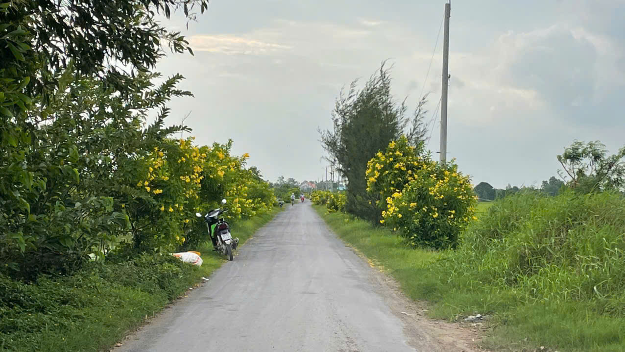 180tr B.á.n nhanh đất full thổ cư tại xã Gò Công Đông, Tiền Giang nay là  tỉnh Đồng Tháp