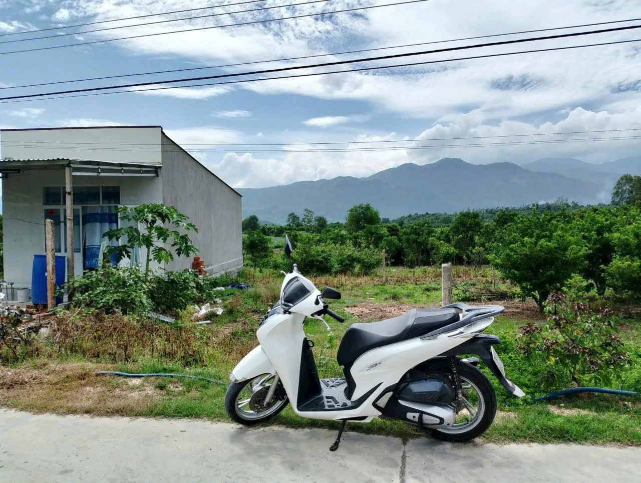 Bán đất 253m² ngang 7m giá 735 triệu Xã Tây Ninh Hòa