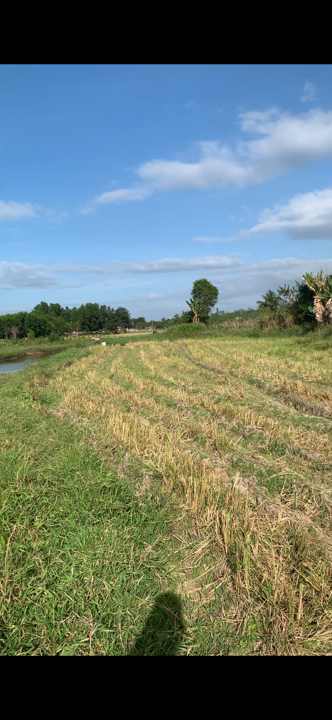 Bán đất 1800m² full thổ cư ngang 70m giá 220 triệu tại Xã Tây Ninh Hòa