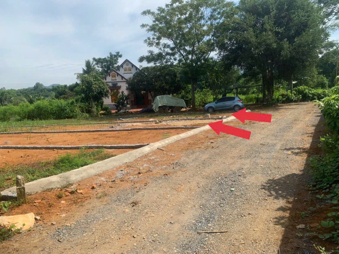 Cần $$$ bán rẻ. 193m_220tr_0376505208