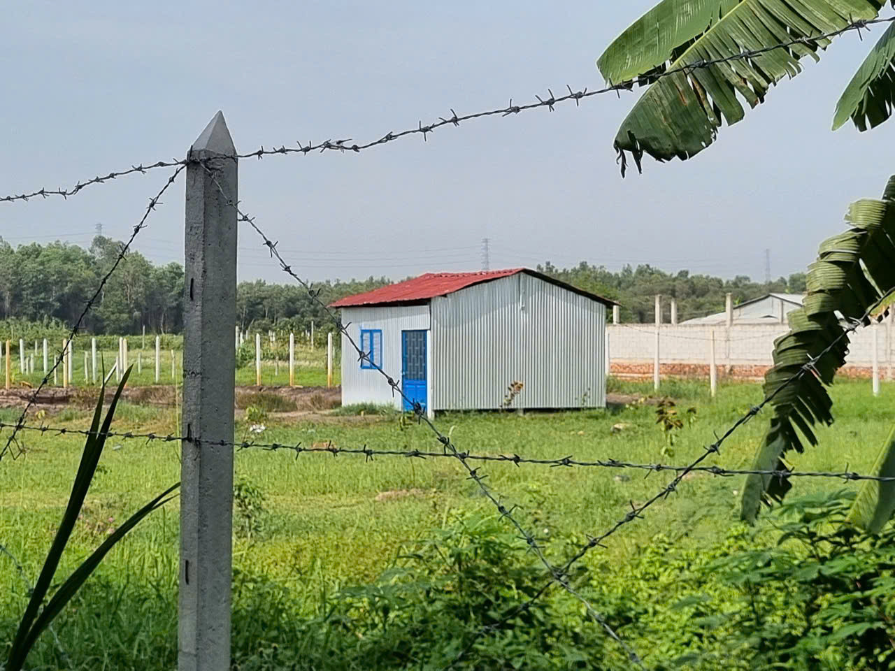 (B479) Đất đường ô tô, xã Thái Mỹ, dt 16.170m2, giá 900k/m2 TL
