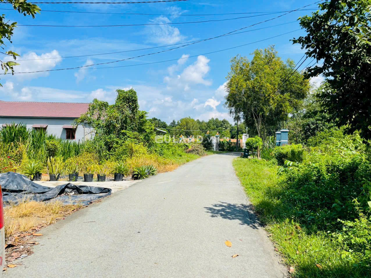 (S332) Đất 1/Trương Thị Kiện,  xã Thái Mỹ, dt 363m2, chỉ 2 tỷ 200