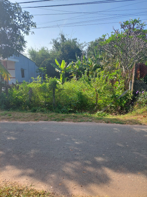 (L283) Đất gần đường Đoàn Minh Triết, xã Thái Mỹ, DT 307m2, thổ cư 200m2, đất ở hiện hữu , chỉ 2 tỷ 500
