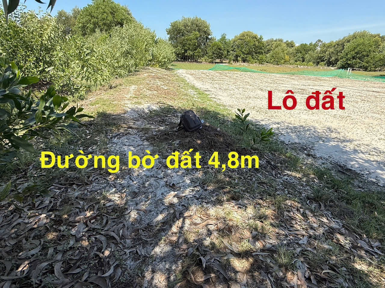 Bán đất 252m² giá 229 triệu Xã Thăng An