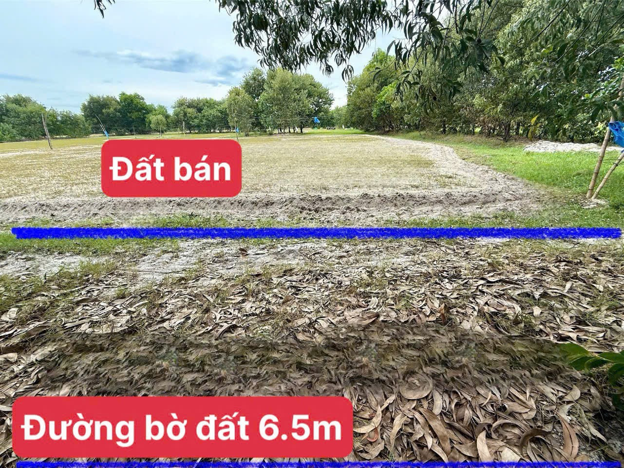 Bán đất 300m² ngang 8m giá 299 triệu Xã Thăng An