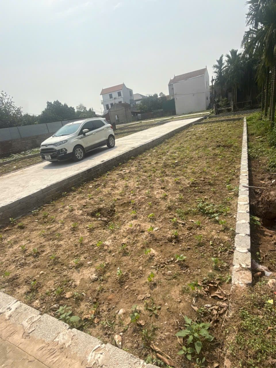GIÁP LONG, CHƯƠNG DƯƠNG ( MỚI)