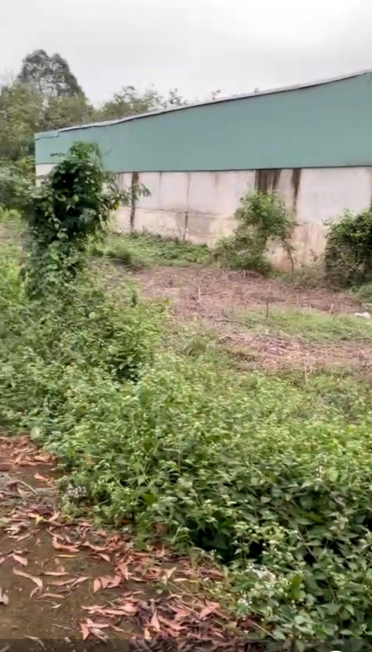BÁN ĐẤT LỚN ~1000M2 - ĐƯỜNG 30M - XÃ THANH AN - HỒ CHÍ MINH - CHỈ 12.x Tỷ