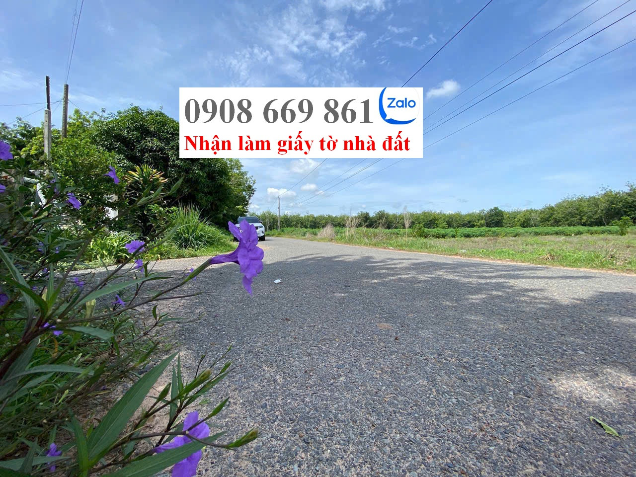 bán đất . DT 2830 m2 . có thổ cư . xã thạnh bắc . tân biên