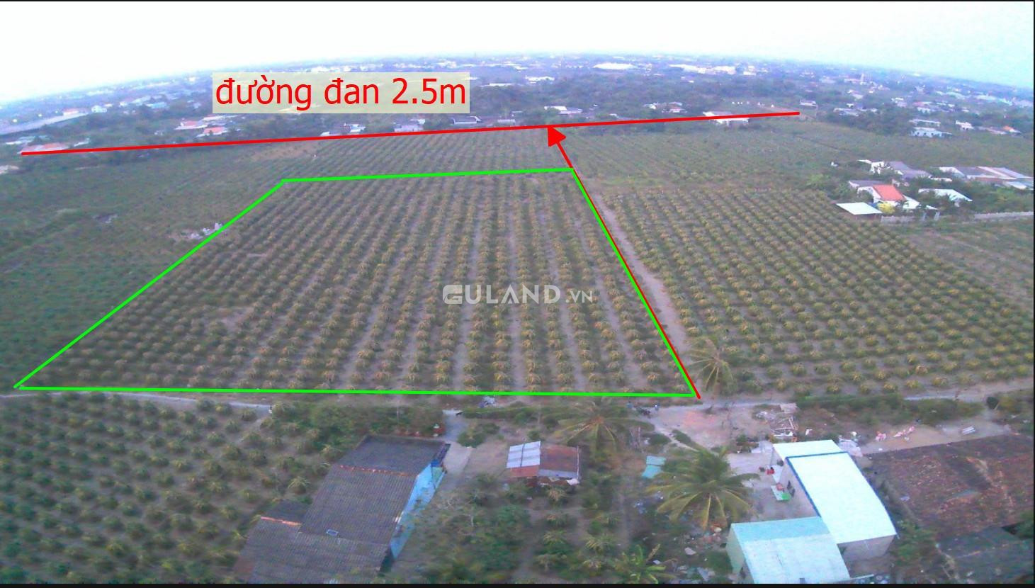 CHÍNH CHỦ Cần Bán 7300m2 Đất CLN Tại Chợ Gạo, Tiền Giang