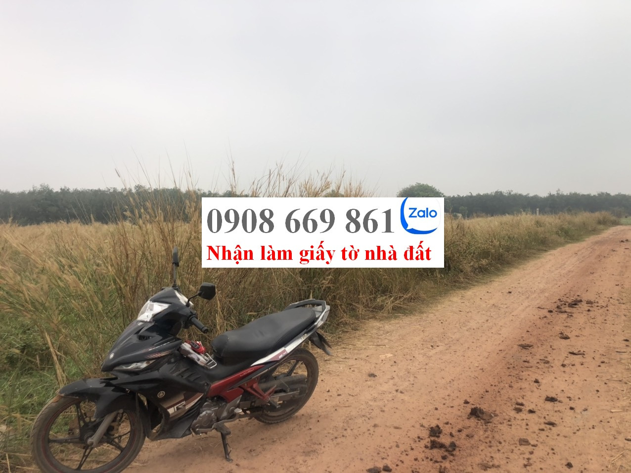 bán đất . diện tích 1217 m2 . xã thạnh bình . tân biên