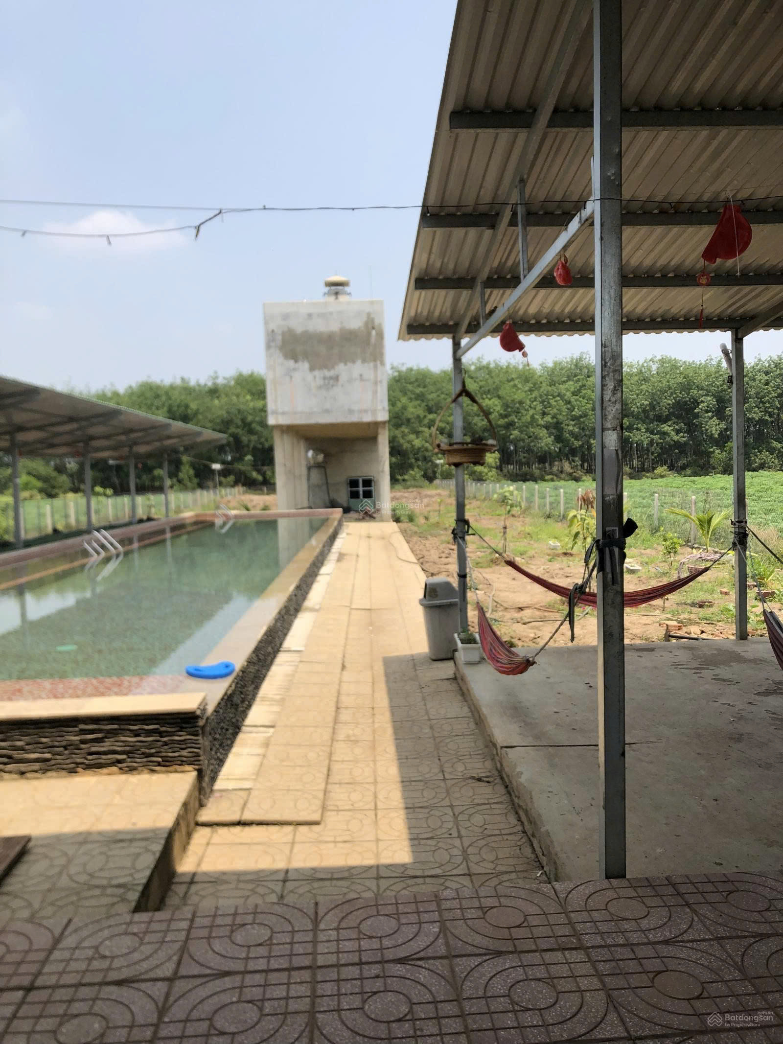 BÁN GẤP ĐẤT CHÍNH CHỦ GIÁ NGỘP TRẢ NỢ & XUỐNG SÀI GÒN  Xã Thạnh Bình, Huyện Tân Biên, Tây Ninh