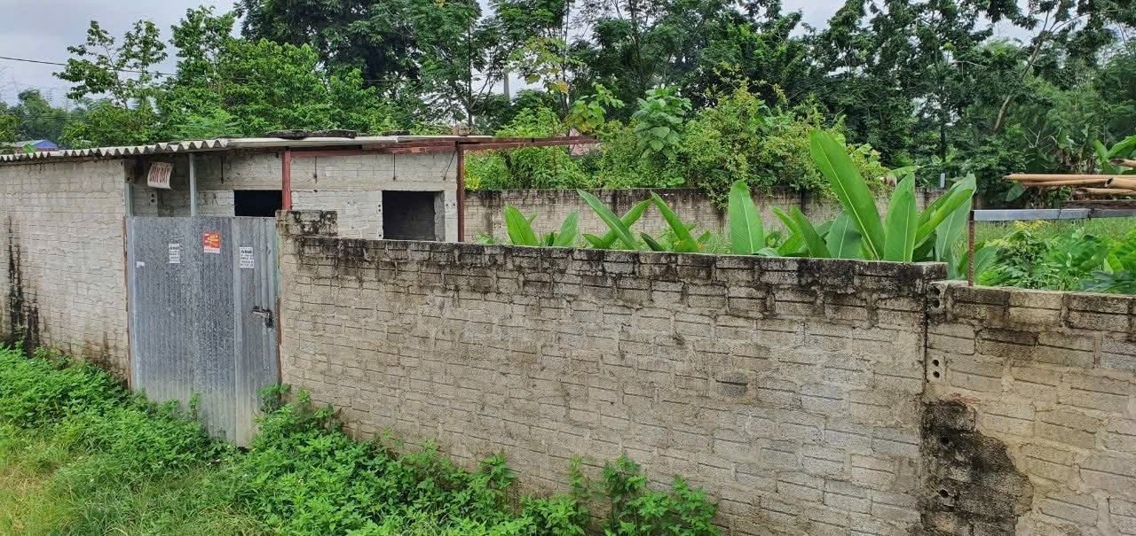 Bán đất tại đội 1,2 Thanh Chăn