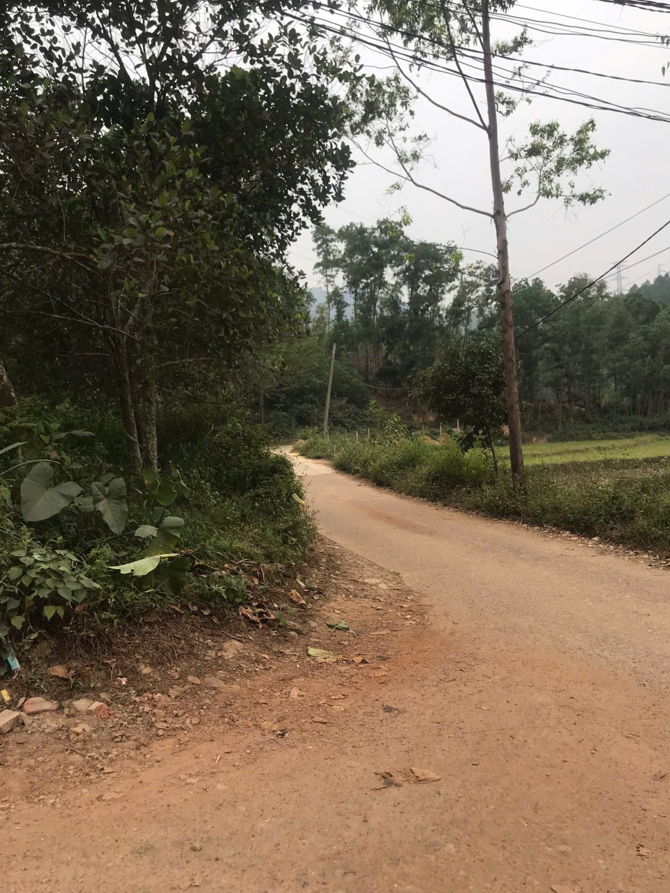 Em bán lô đất rộng view nghỉ dưỡng cánh đồng, núi non hùng vỹ