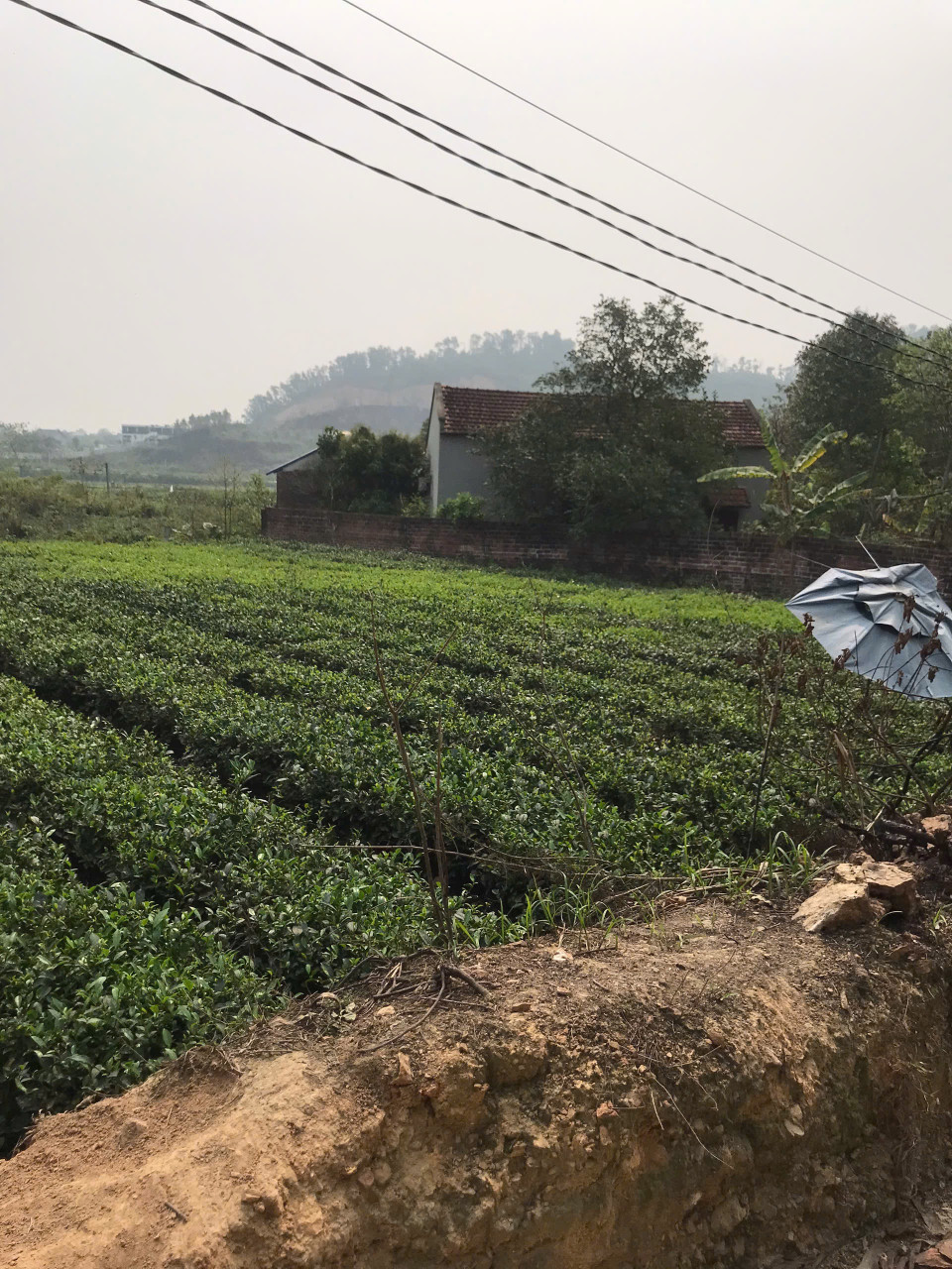 Em bán mảnh đất tọa lạc tại xã Thành Công, Phổ Yên Thái Nguyên Lh 0963396283