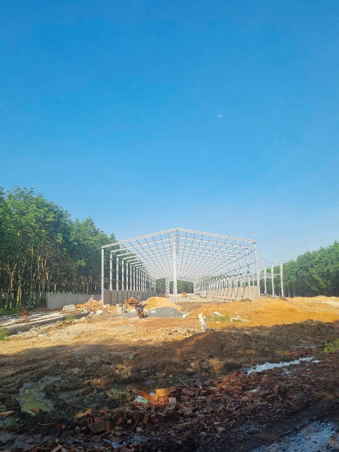 Cho thuê nhà xưởng TẠI TÂN UYÊN.