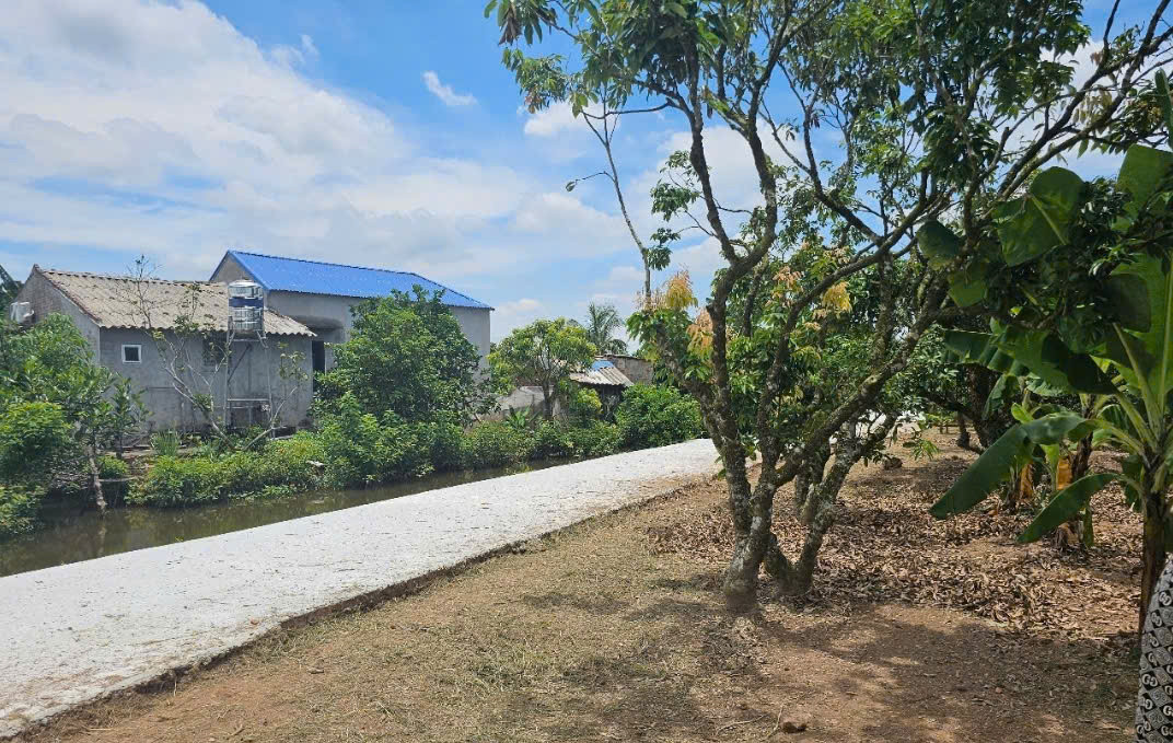 Bán đất tại Thanh Hồng, Thanh Hà, Hải Dương. Cạnh đường cao tốc Hà Nội - Hải Phòng, quy hoạch đường chạy thẳng sang TP Hải Phòng.