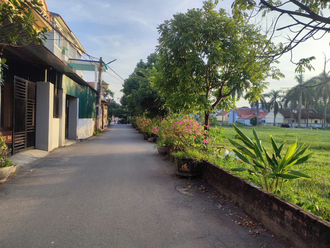 Bán Đất 138m² thổ cư 113m² tặng lưu không 25m tại Xã Thanh Lâm Huyện Mê Linh Hà Nội