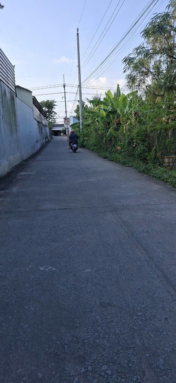 Bán đất 110.7m² ngang 5m giá 560 triệu Xã Thạnh Lộc