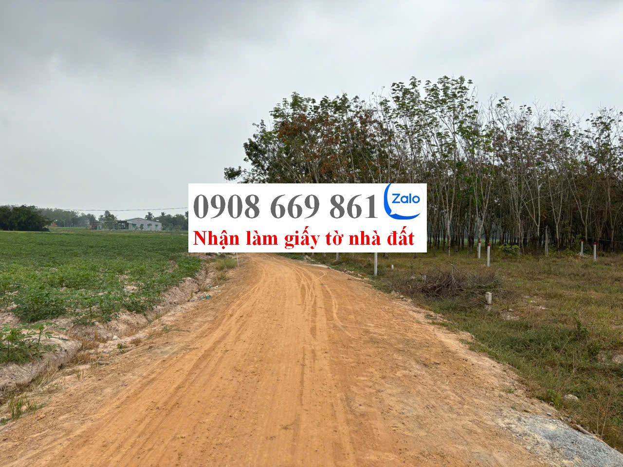 bán đất . DT 370 m2 . xã thành long . châu thành