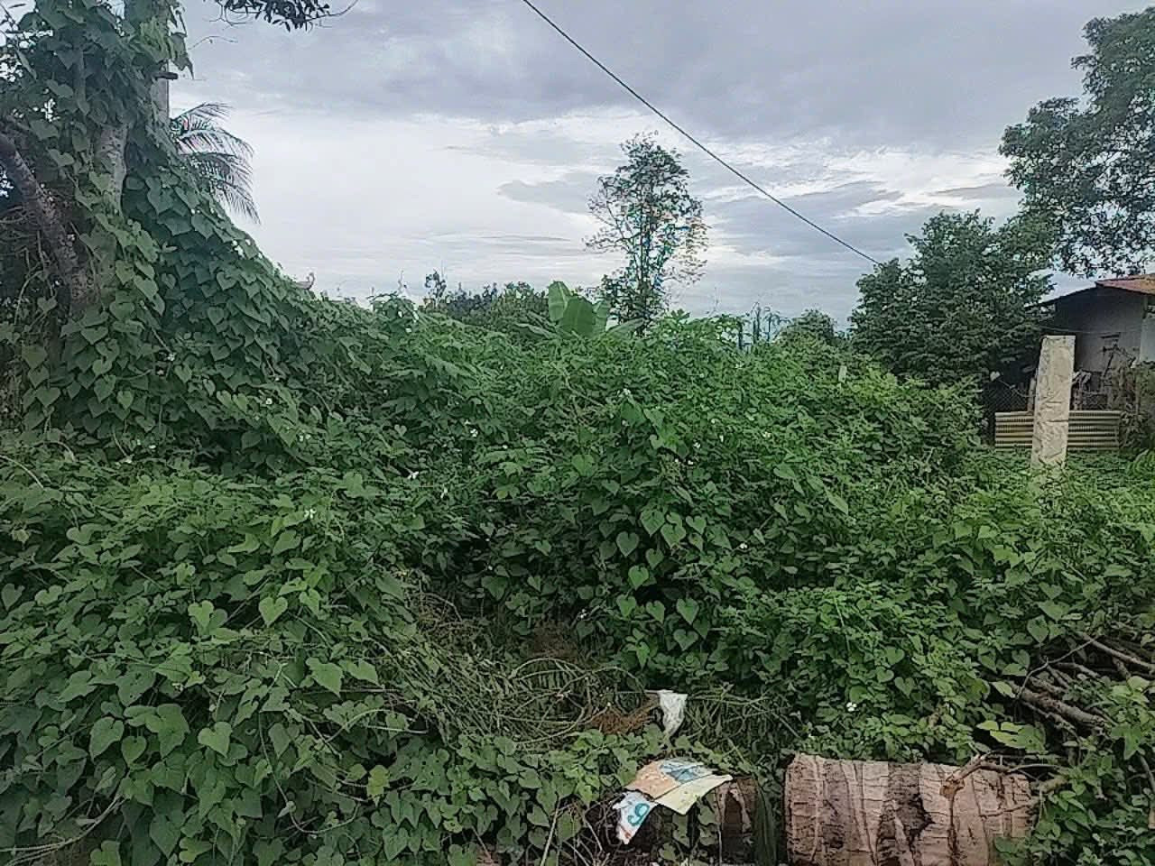 Bán đất tại Thanh Luông Điện Biên Phủ