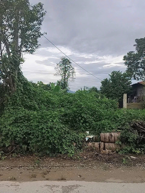 Bán đất tại đội 5a, Thanh Luông