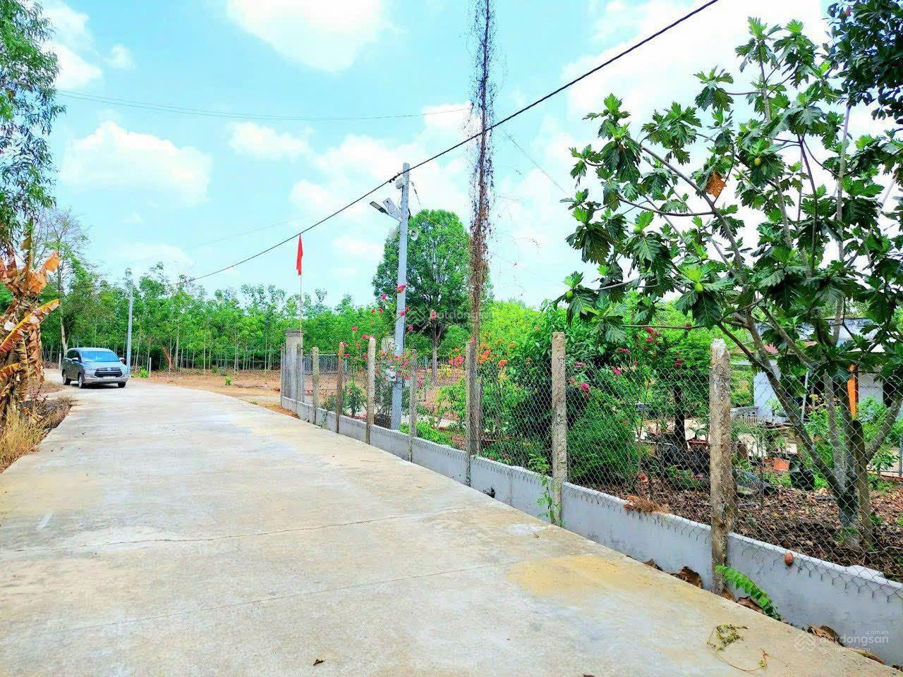 Bán đất 220m² GIÁ 280 triệu tại Xã Thanh Lương Thị xã Bình Long