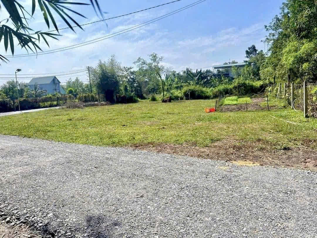 BÁN 1.000M2 (20X50) SẴN 200M2 THỔ CƯ DÂN ĐÔNG GẦN TRUNG TÂM, CHỢ. GIÁ 250TR