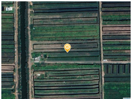 Bán đất 3000m² 1.5 tỷ tại Xã Thạnh Mỹ Huyện Tân Phước