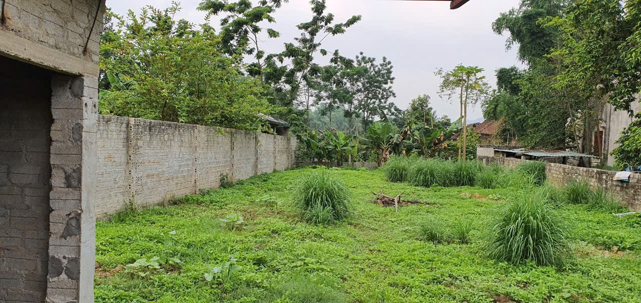 Bán đất thanh chăn tp điện biên