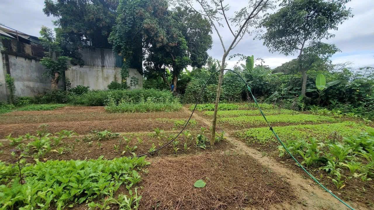 Bán đất nông thôn