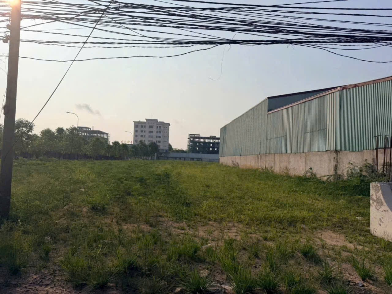 2000m2 đất FULL SKC đường container, đối diện Eco Park, Thanh Phú, Bến Lức, Long An