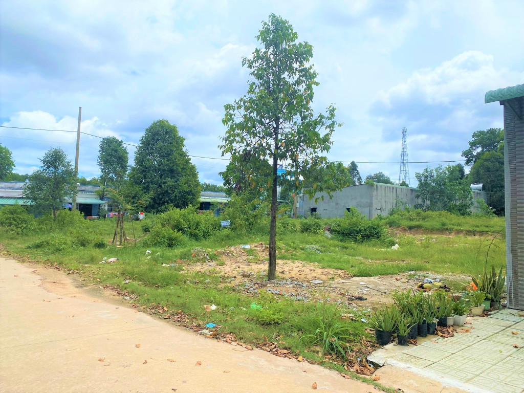 Bán đất 1467.9m² 390 triệu tại Xã Thanh Phú Thị xã Bình Long