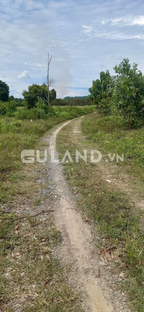 Bán đất sào nông nghiệp ở xã Thanh Sơn, huyện Định Quán, tỉnh Đồng Nai