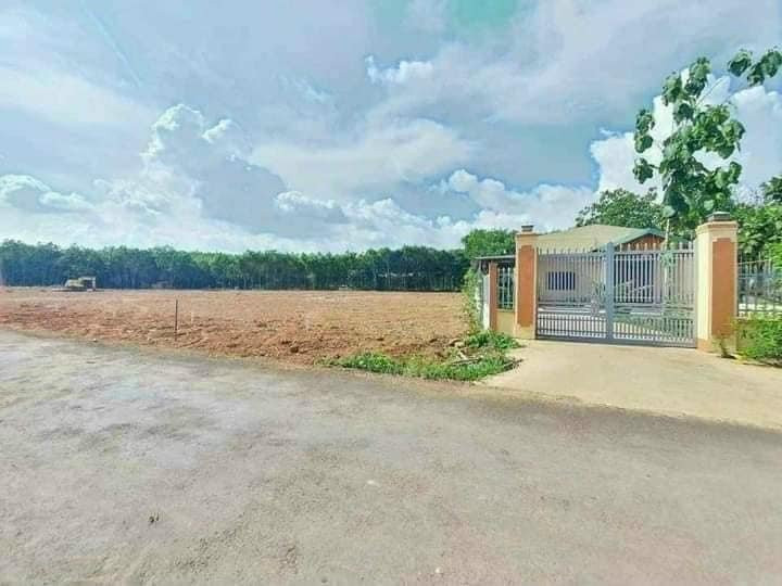 CẦN TIỀN BÁN NHANH 1200M2 ĐẤT THỔ CƯ Ở NGAY CHỢ, GẦN TRƯỜNG DÂN ĐÔNG. GIÁ 220 TRIỆU