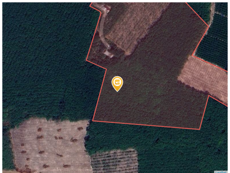 Bán đất 1000m² 180 triệu tại Xã Thành Tâm Thị xã Chơn Thành