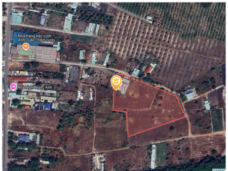 Bán đất 1000m² 180 triệu tại Xã Thành Tâm Thị xã Chơn Thành