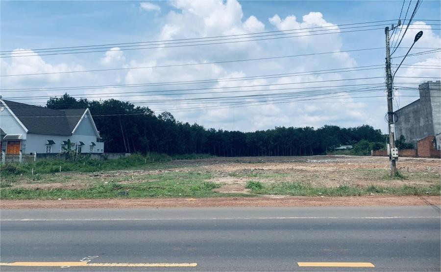 BÁN GẤP 1.259M2(25X50) SỔ RIÊNG THỔ CƯ NGAY BECAMEX TX CHƠN THÀNH GIÁ 522 TRIỆU