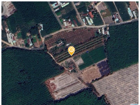 Bán đất 1000m² 180 triệu tại Xã Thành Tâm Thị xã Chơn Thành