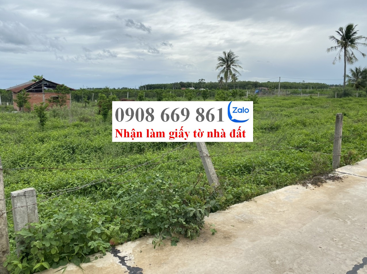 bán đất . diện tích 229 m2 . Xã thạnh tân . Tp tây ninh