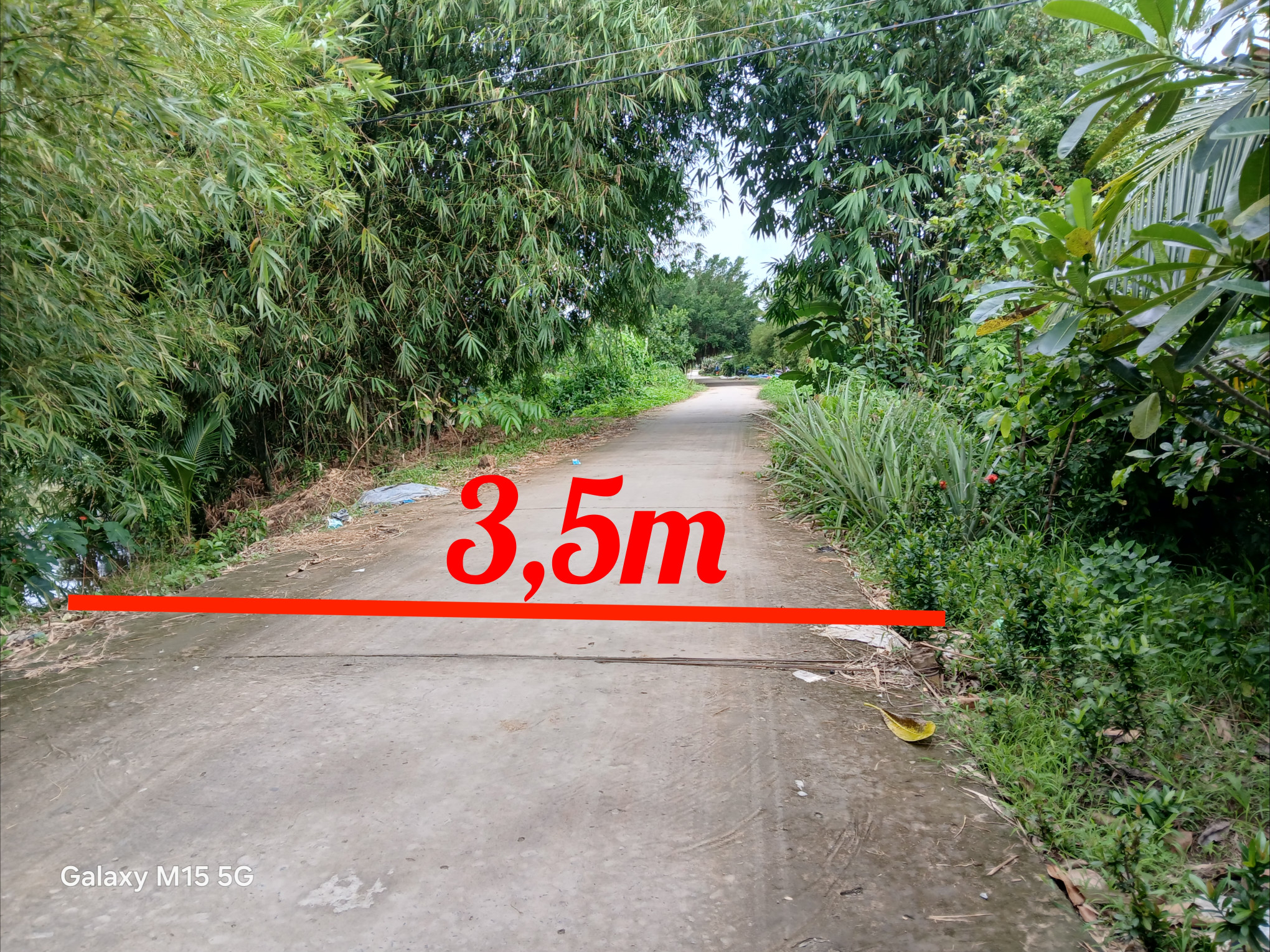 Đất rẻ 170tr