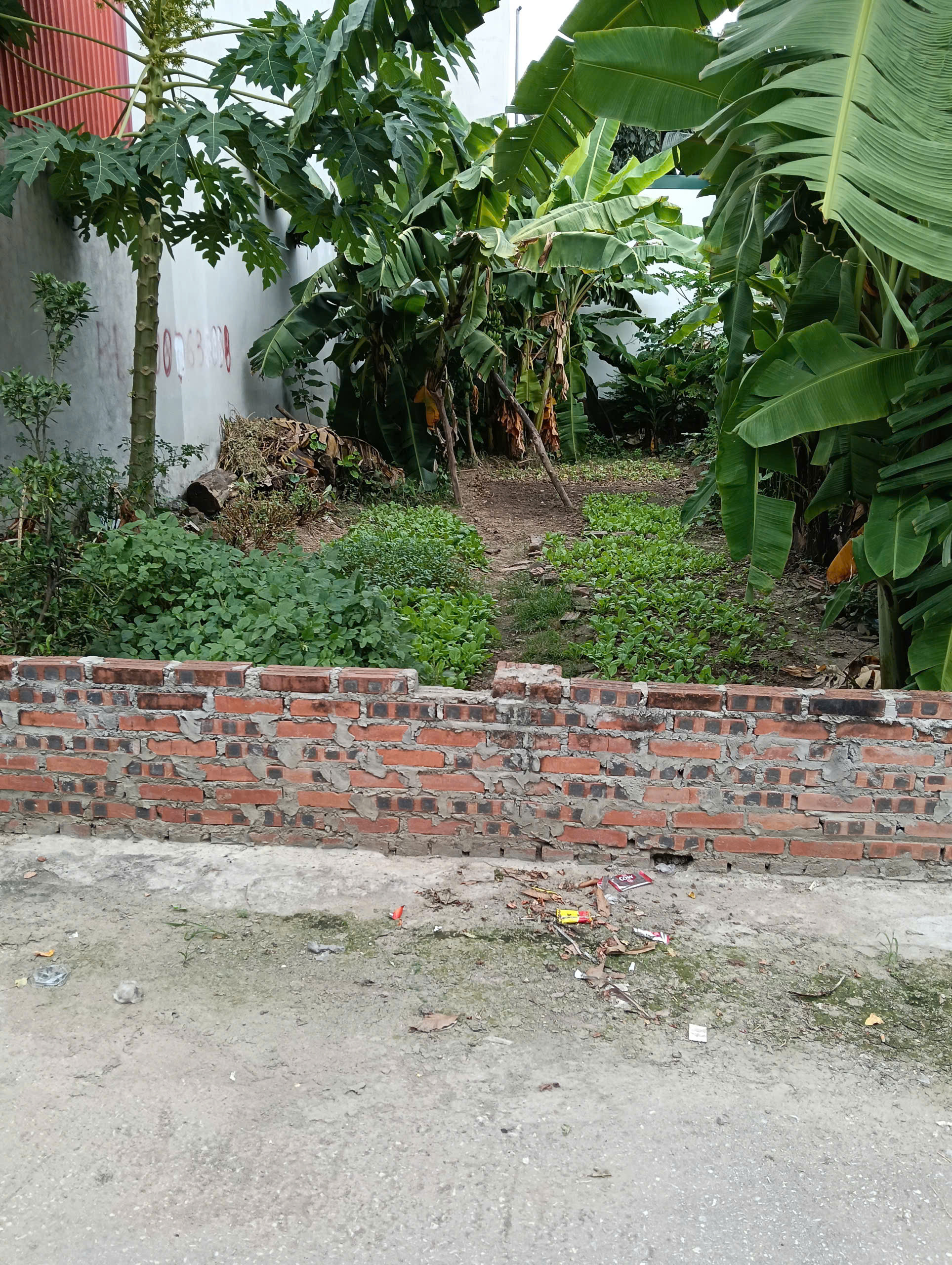 Bán Đất Thôn Đông – Thanh Trù – Vĩnh Yên | 105m² Full Thổ Cư, Vị Trí Đẹp