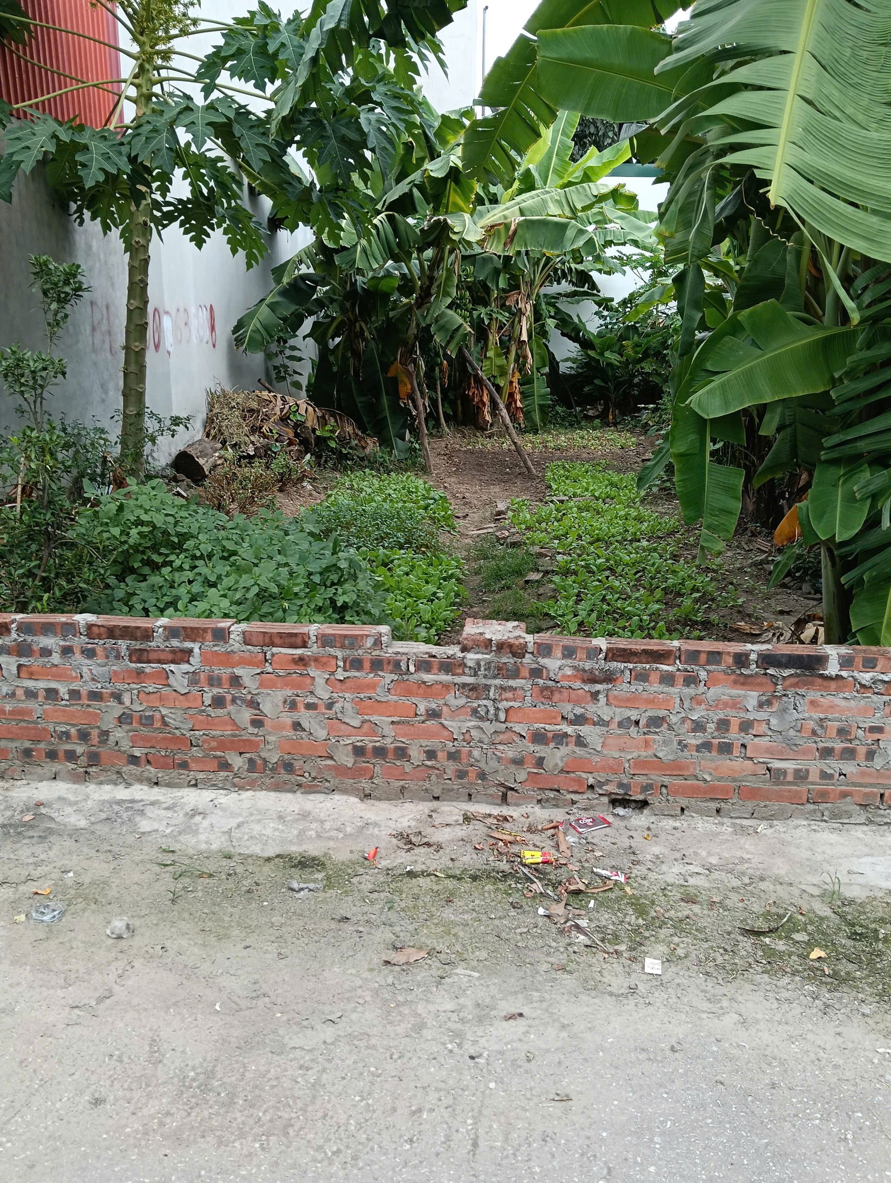 Bán Đất Thôn Đông – Thanh Trù – Vĩnh Yên, Dt 105m² Full Thổ Cư, Vị Trí Đẹp