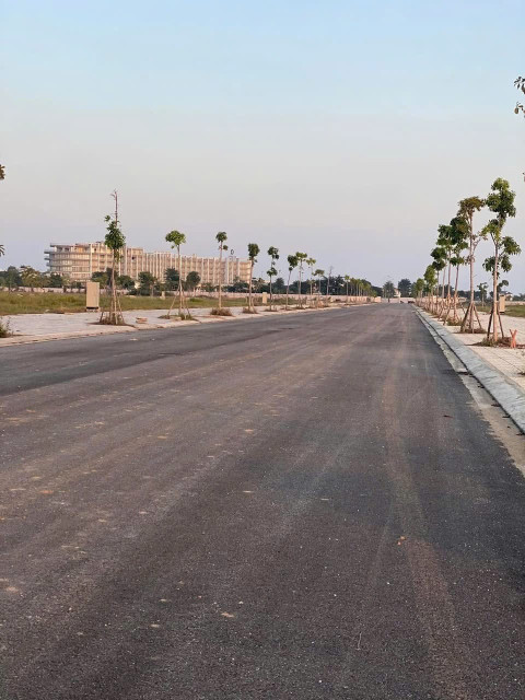 Mại zô