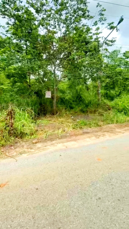 Cần bán đất Thanh Tuyền, Dầu Tiếng, Bình Duong