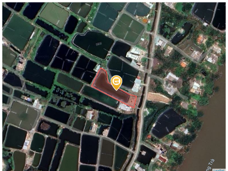 Bán đất 2900m² 1.5 tỷ tại Xã Thanh Vĩnh Đông Huyện Châu Thành