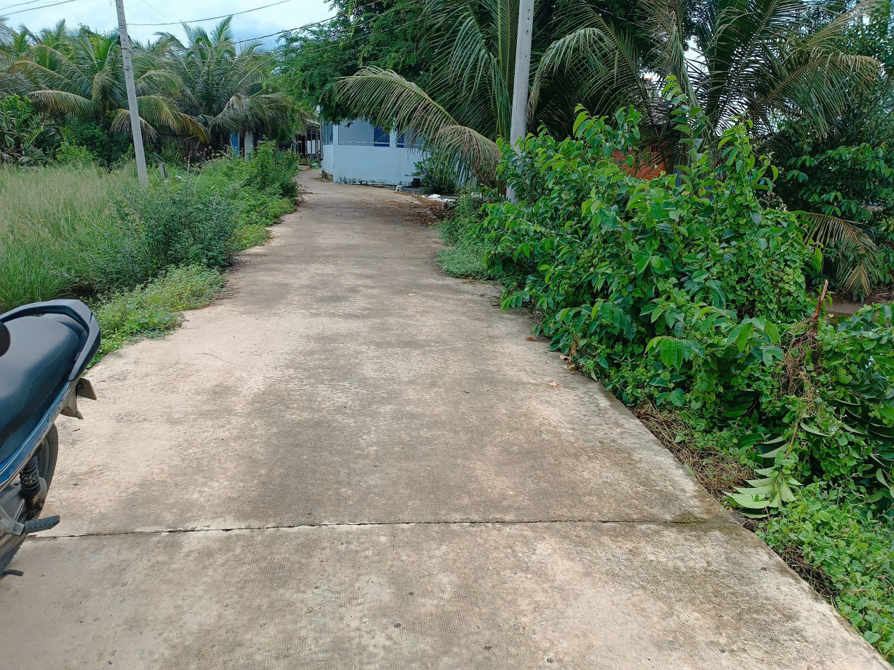 Bán đất Thổ Cư gần rạch- View thoáng mát giá cực mềm chỉ 4xxtr