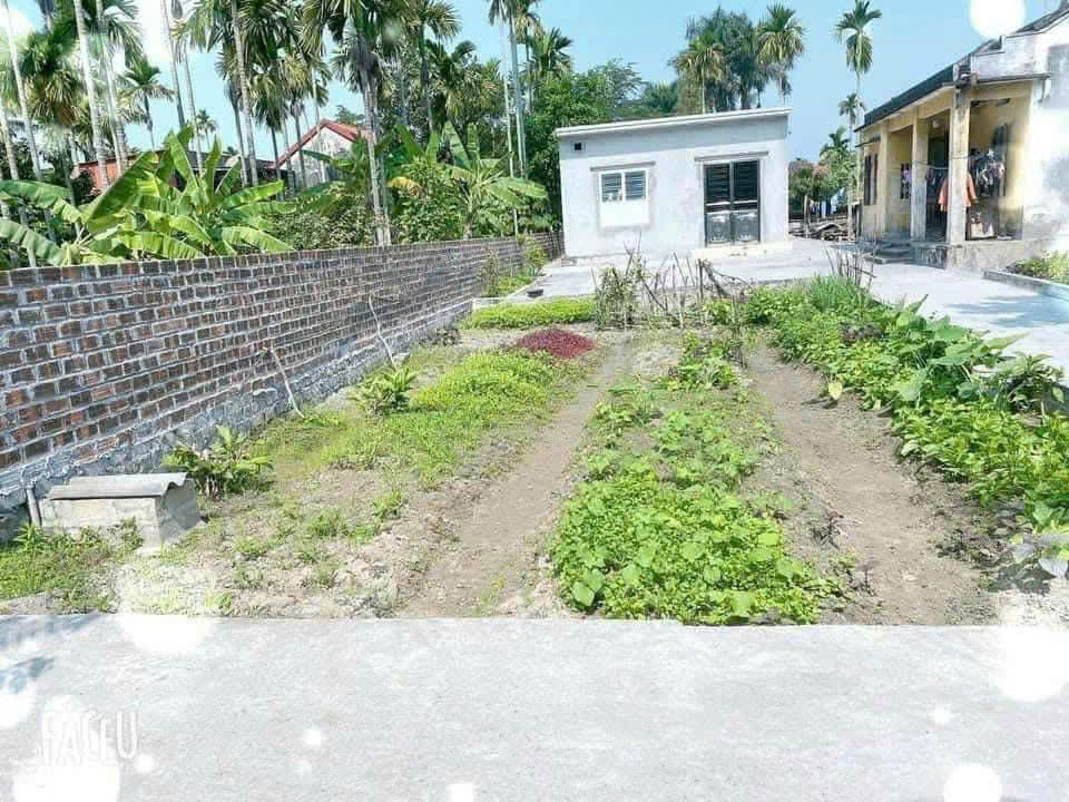 Bán đất 100m² 1.65 tỷ tại Xã Thiên Hương Huyện Thuỷ Nguyên. liên hệ 0362558882