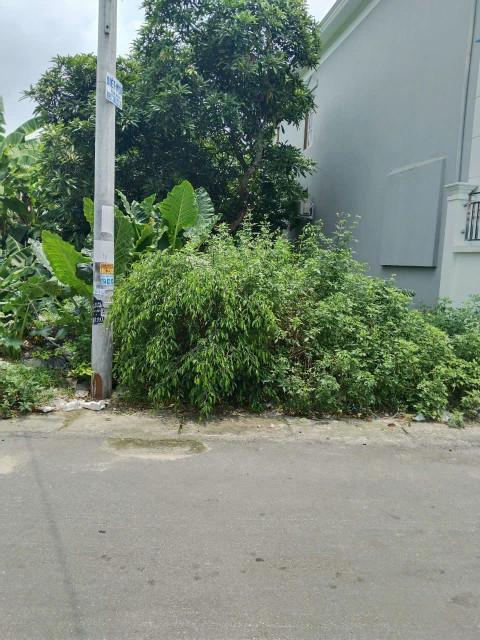 Bán lô đất siêu tiềm năng tại thôn 10 thiên hương dt 74m ngang 4,2 giá 1tỷ 7xx lh ngay 0382341632 em Liên