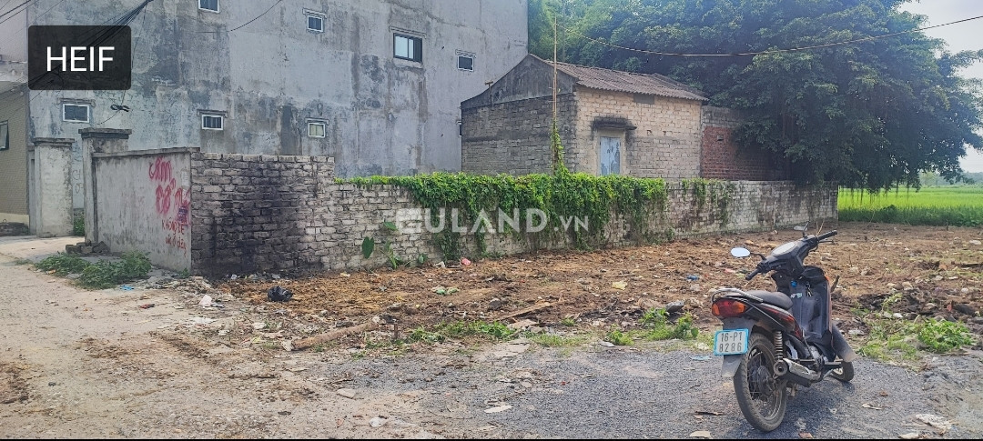 bán đất Thủy Nguyên, Thiện Hương, mặt đường thôn, 115m2, giá 2,09 tỷ.